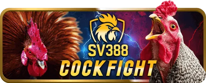 Bàn Baccarat tại 11bet.com